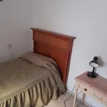 Rent 4 bedroom apartment in Seville