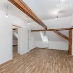 Rent 4 bedroom apartment in Plzeň-jih