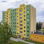 Rent 1 bedroom apartment in Nymburk