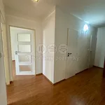 Rent 3 bedroom apartment of 64 m² in Libčice nad Vltavou