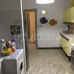 Rent 3 bedroom apartment of 80 m² in San Benedetto del Tronto