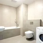 Rent 1 bedroom apartment in Prague