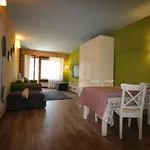 Rent 1 bedroom apartment of 30 m² in Sestriere