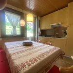 Rent 1 bedroom apartment of 50 m² in san vito di cadore