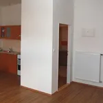 Rent 1 bedroom apartment in Šternberk