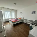 Rent 1 bedroom apartment in Praha 1