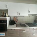 Rent 2 bedroom apartment of 60 m² in Bari