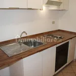 Rent 2 bedroom apartment of 50 m² in Monza