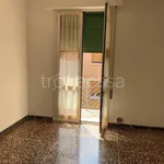 Rent 3 bedroom apartment of 77 m² in Bologna