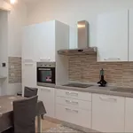 Rent 2 bedroom apartment of 50 m² in Turin