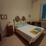 Rent a room of 100 m² in Perugia