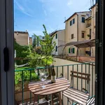 Rent 1 bedroom apartment in Florence