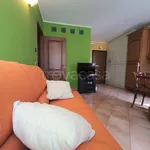 Rent 2 bedroom apartment of 50 m² in Biella