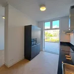 Huur 4 slaapkamer appartement van 129 m² in Den Haag