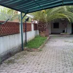 Rent 3 bedroom house of 120 m² in Calopezzati