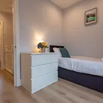 Rent 3 bedroom apartment in Reading