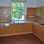 Rent 1 bedroom house of 338 m² in Prague