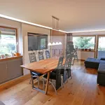 Rent 3 bedroom apartment of 80 m² in Kirchberg in Tirol