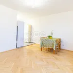 Rent 3 bedroom apartment of 57 m² in Praha