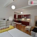 Rent 1 bedroom apartment of 38 m² in Praha