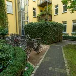 40 m² Studio in berlin