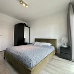 Rent 2 bedroom apartment of 70 m² in Stadsdriehoek