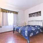 Rent 3 bedroom apartment of 115 m² in Stintino