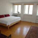 Rent 2 bedroom apartment of 115 m² in Oplysninger