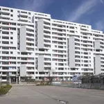 Rent 2 bedroom apartment of 47 m² in Ratingen