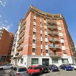 Rent 1 bedroom apartment of 17 m² in Frosinone