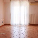 Rent 3 bedroom apartment of 79 m² in Taranto