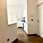 Rent 3 bedroom apartment of 93 m² in Turin