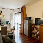 Rent 2 bedroom apartment of 57 m² in Milan