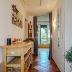 Miete 2 Schlafzimmer wohnung von 40 m² in Krefeld