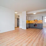 Rent 3 bedroom apartment of 69 m² in Ostrava