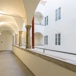 Rent 1 bedroom apartment of 52 m² in Vienna