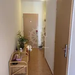 Rent 1 bedroom apartment of 40 m² in Trhový Štěpánov