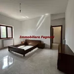 Rent 4 bedroom apartment of 142 m² in Velletri