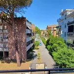 Rent 3 bedroom apartment of 56 m² in Roma