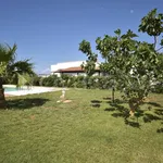 Rent 5 bedroom house of 100 m² in Carovigno