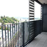 Rent 4 bedroom apartment of 122 m² in Prague