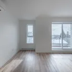  appartement avec 1 chambre(s) en location à Montreal