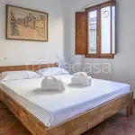 Rent 1 bedroom apartment of 35 m² in Firenze