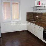 Rent 1 bedroom apartment of 45 m² in Břeclav