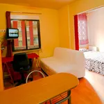 Alquilar 1 dormitorio apartamento en Salamanca