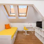 Studio o rozloze 30 m² v prague