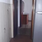 Rent 3 bedroom apartment of 70 m² in Livorno