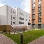 Rent 1 bedroom apartment in Derby