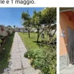 Rent 2 bedroom house of 55 m² in Nettuno