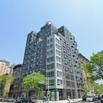 Rent 1 bedroom apartment in Harlem